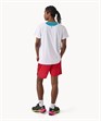 Crew Neck Shirt