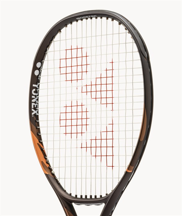 Ezone 100 L