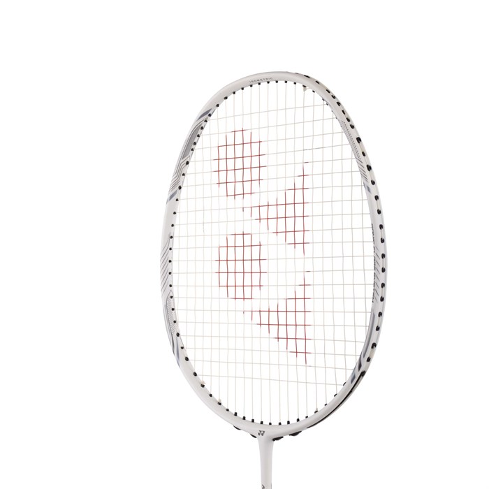 NANOFLARE NEXTAGE